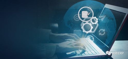 玩轉(zhuǎn)erp 如果要做一個(gè)開發(fā)顧問